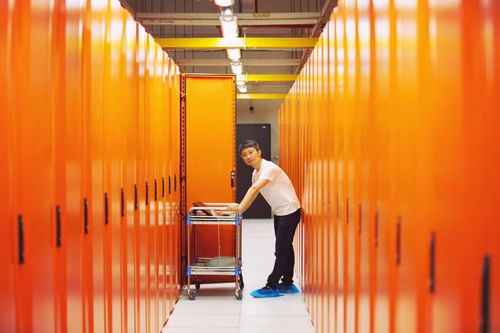 High-performance mining rig operating in a professional hosting facility